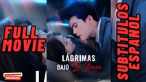 lagrimas bajo la lluvia [Sub Español]