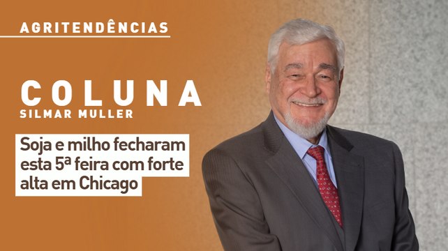 Soja e milho fecharam esta 5ª feira com forte alta em Chicago