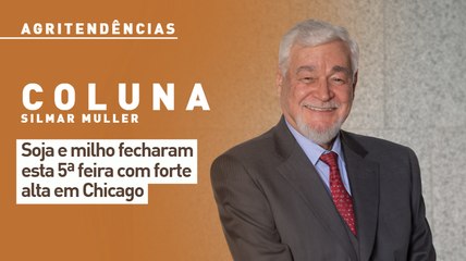 Soja e milho fecharam esta 5ª feira com forte alta em Chicago