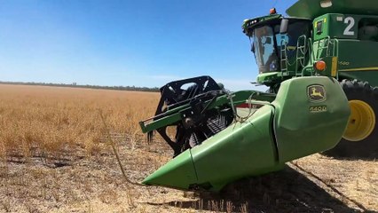 Successful spring harvest shines hope for NSW grain farmers