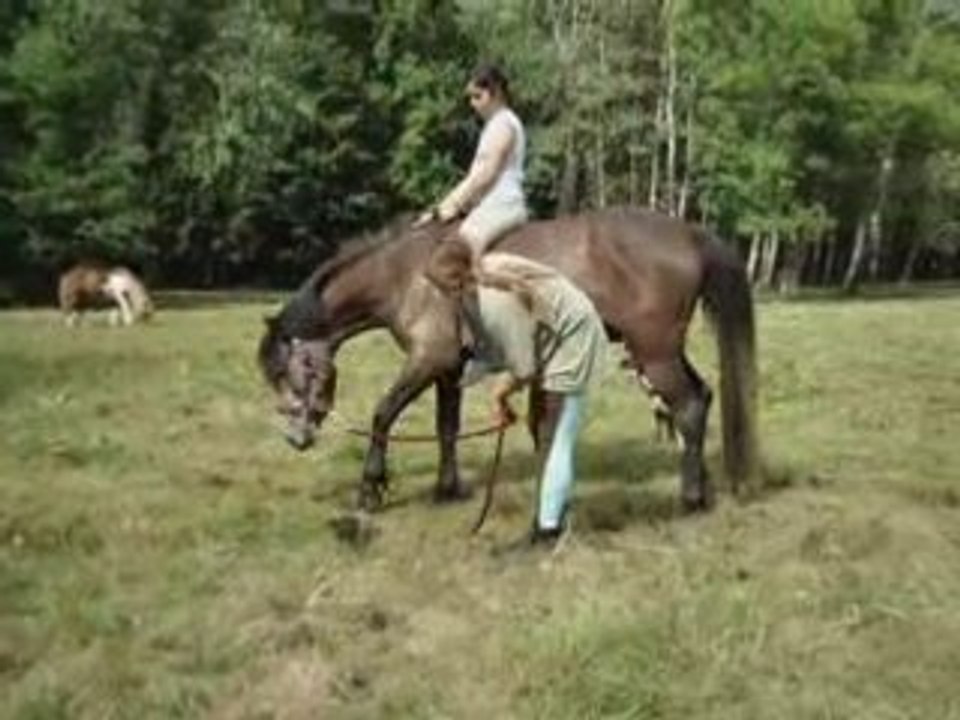 Sophie + Ramsès