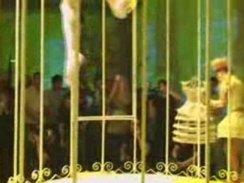 L'oiseau au plumes d'or