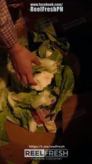 The Wife Who Changed The Story Chinese Drama - English Sub