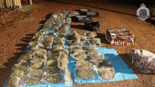 Half a million dollars’ worth of cannabis seized in Winton