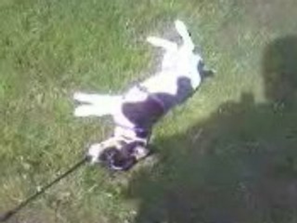 Vidéo0011