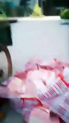 Her Fortune Writes the Rules - Full HD Movie Uncut