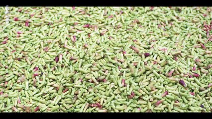 L'incroyable périple de Magellan (2/4) Voyage au bord du monde