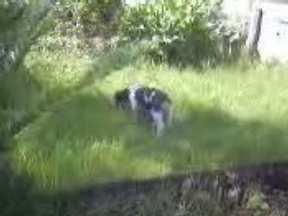 Vidéo0015