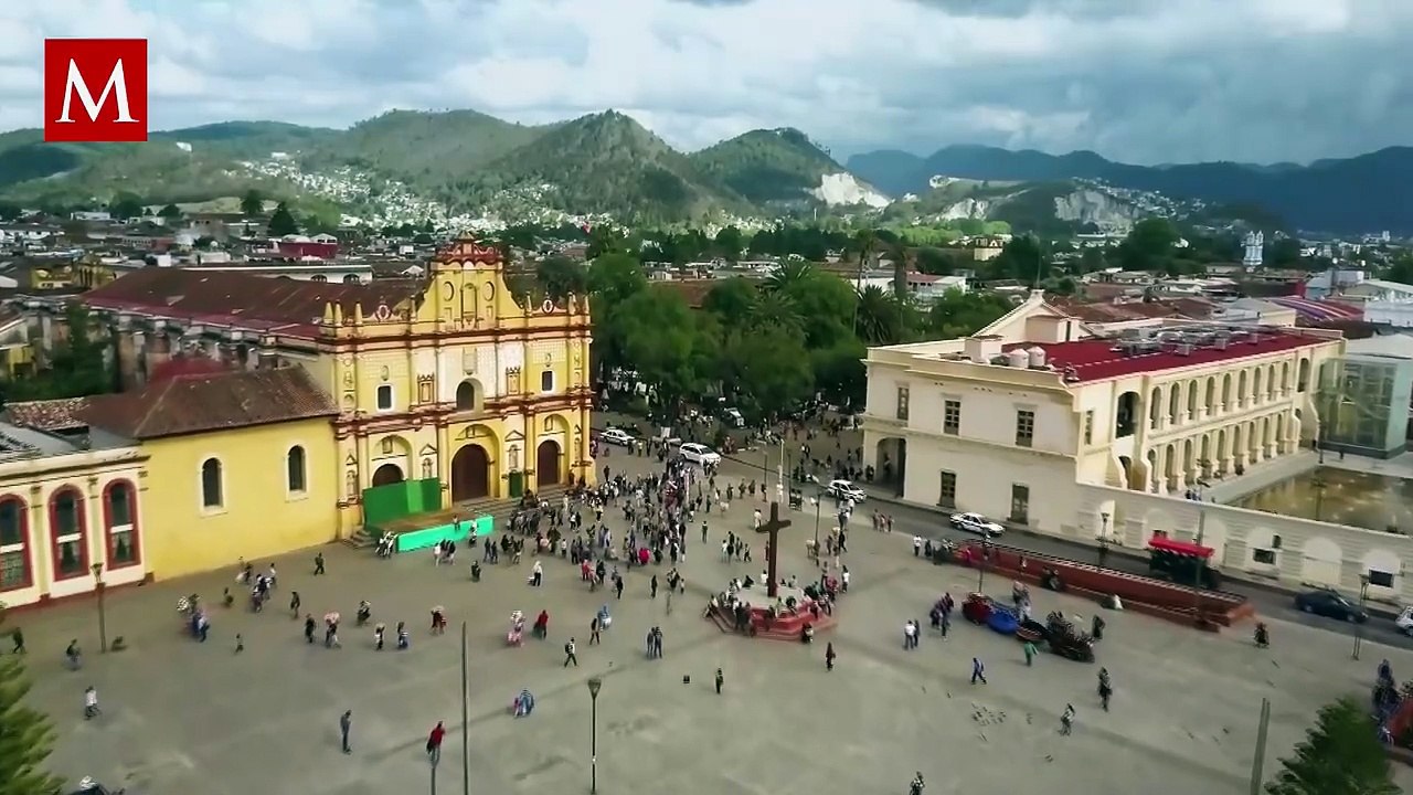 Tráfico de animales en Chiapas: la ruta secreta que pone en riesgo la biodiversidad