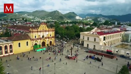 Tráfico de animales en Chiapas: la ruta secreta que pone en riesgo la biodiversidad