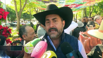 Perro rescatado fue el que detectó caso de gusano barrenador en vaca proveniente de Campeche