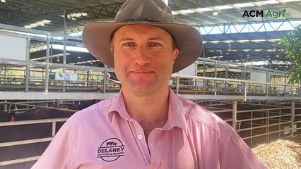 Yea store sale - November 14, 2025