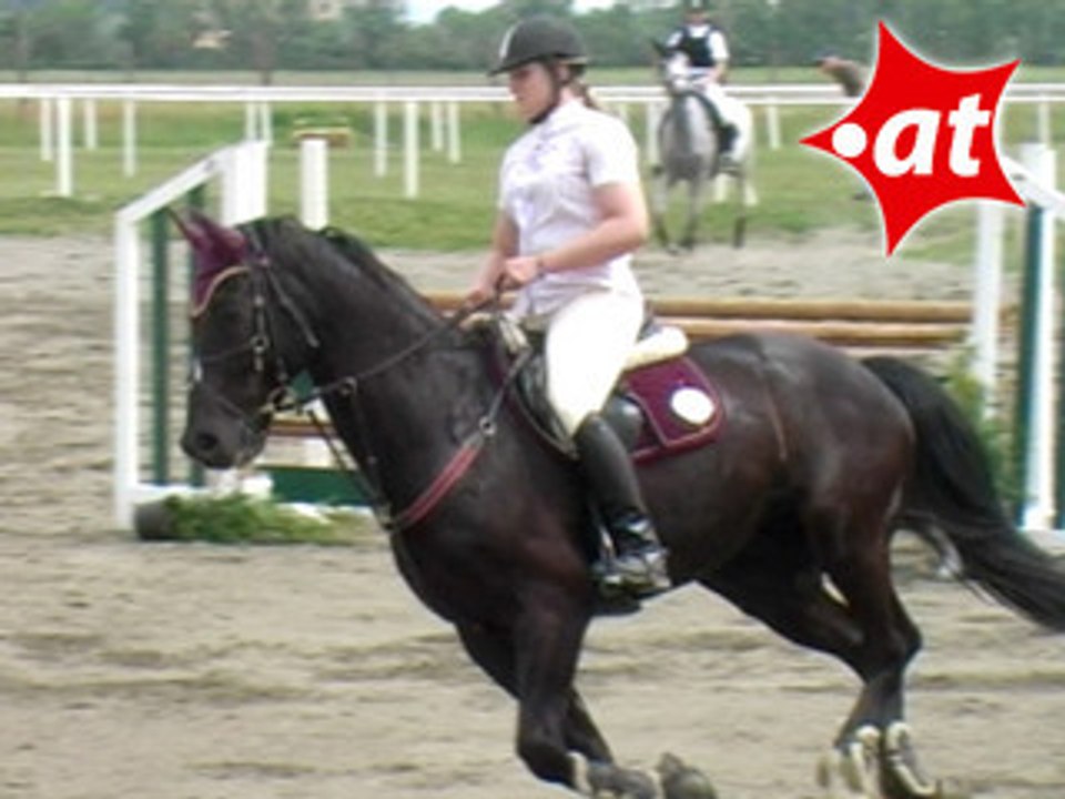 Sybille Prußnat, Springreiten, Kottingbrunn (2008-019)