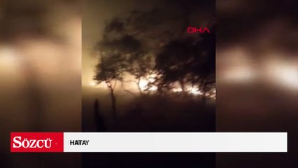 Hatay’da yıldırım düşmesi sonucu orman yangını çıktı