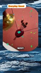 Everyday Uncut revealed the secret behind wax seal on envelopes