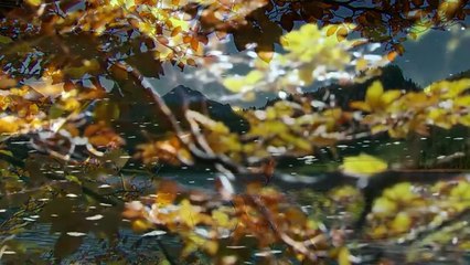 Sturm der Liebe 4464 Folge