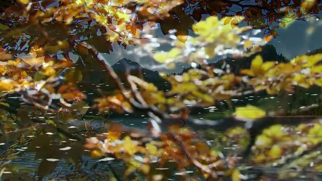 Sturm der Liebe 4464 Folge