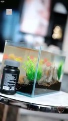 Chasing My Bestie's Brother-In-Law - Full Episodes