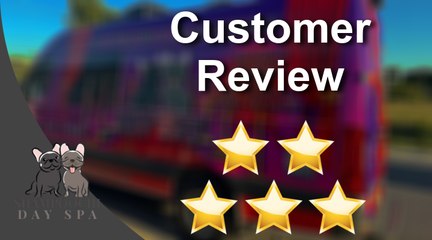 Shampoochi Day Spa Port St. Lucie Great Five Star Review by Kelly Yvonne