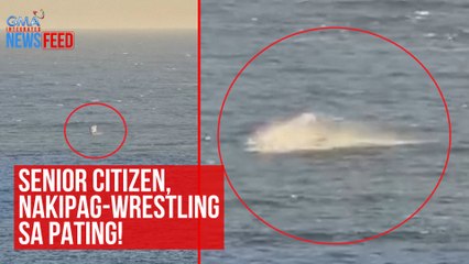Senior citizen, nakipag-wrestling sa pating! | GMA Integrated Newsfeed
