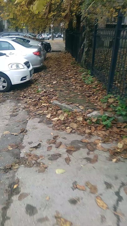 E o toamnă minunată