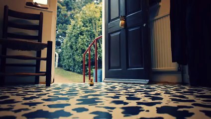 Taskmaster - Season 20 Episode 10 - The Final: Supping From The Fountain