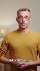 🐻 **Bears Catch Salmon** 🐟