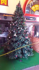 石橋商店街にあったクリスマスツリー2025