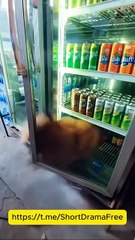 Forbidden Touch My Vampire CEO EngSub mydrama