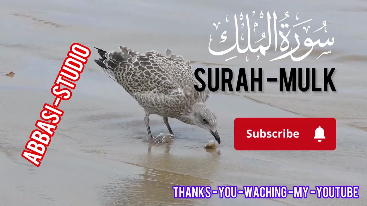 Surah Al-Mulk | سورۃ الملک | Beautiful Tilawat | Power of Surah Al Mulk | Abbasi Studio”