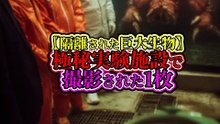 隔離された巨大生物──極秘実験施設で撮影された1枚
