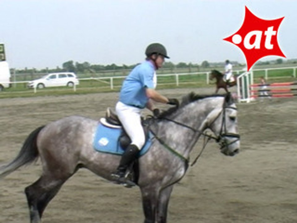 Harald Niederl, Springreiten, Kottingbrunn (2008-021)