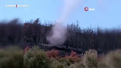 Yangının küle çevirdiği ormanlık alanda ortaya çıkan görüntüler vatandaşlar arasında merak uyandırdı