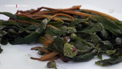 Şırnak'ta bulunan bu şifalı bitki, 3 hastalığa iyi geliyor!