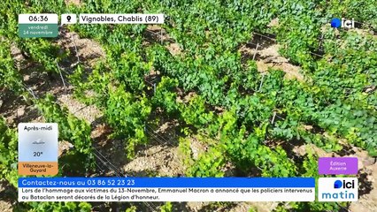 14/11/2025 - ici matin par ici Auxerre en vidéo