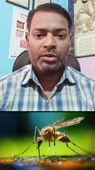 डेंगू का मच्छर कब काटता है ।