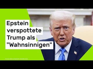 Donald Trump: Anzeichen "früher Demenz" - Epstein verspottete Trump als "Wahnsinnigen"