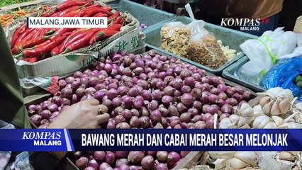 Cuaca Buruk, Harga Bawang Merah dan Cabai Merah Melonjak!