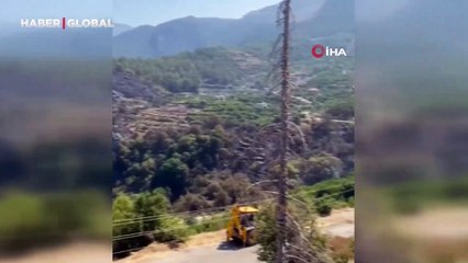 Yaban keçileri yangın sebebiyle doğal yaşam alanlarından kaçarken görüntülendi