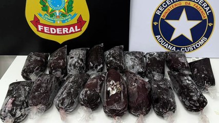 Operação de Combate ao Tráfico: Polícia Federal Intercepta 19 Quilos de Achiche Escondidos em Açaí Congelados