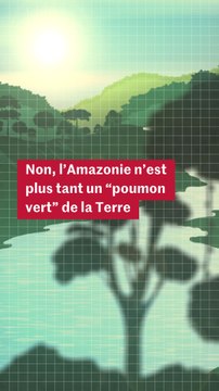 L’Amazonie est-elle encore un « poumon vert » de la planète ?