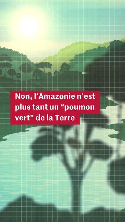L’Amazonie est-elle encore un « poumon vert » de la planète ?