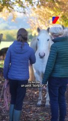 Autisme, phobie, anxiété : la puissance insoupçonnée de l’équithérapie | GOOD JOB