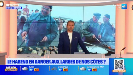 Bonjour Lille du vendredi 14 novembre 2025