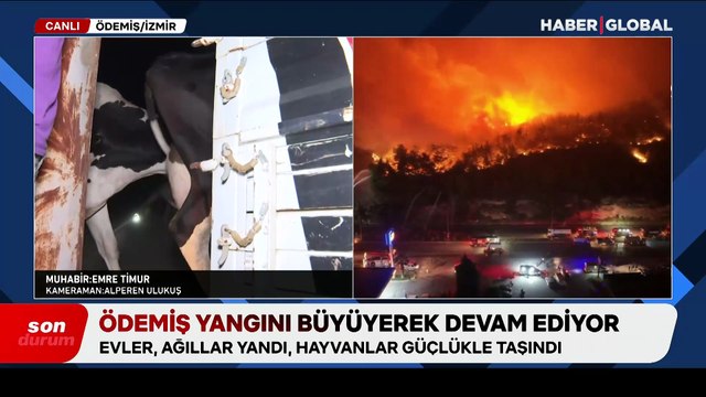 İzmir'de alevlerle mücadele devam ediyor: Haber Global ekibi son durumu görüntüledi