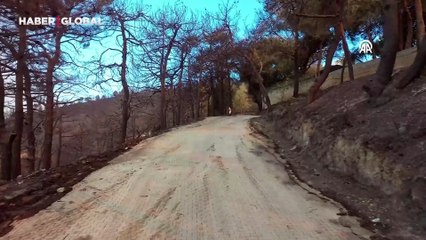 Hatay'da devam eden orman yangınında zarar gören alanlar havadan görüntülendi