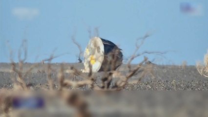 '우주 파편' 탓에 귀환 미뤄진 중국 우주인 지구로 / YTN
