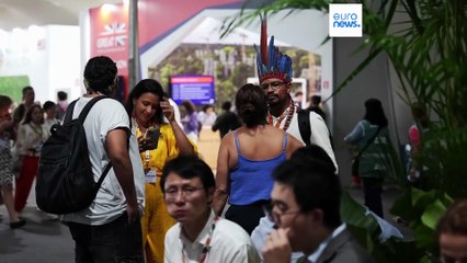 Cop30, record di lobbisti presenti alla conferenza sul clima in Brasile: sono oltre 1.600