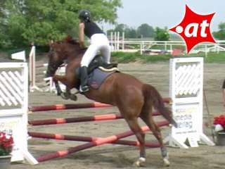Arzu Fatura, Springreiten, Kottingbrunn (2008-023)