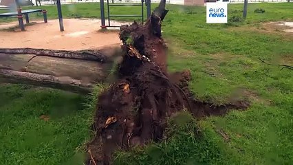 Tempête Claudia : les autorités portugaises font état de plus de 2 000 incidents en trois jours